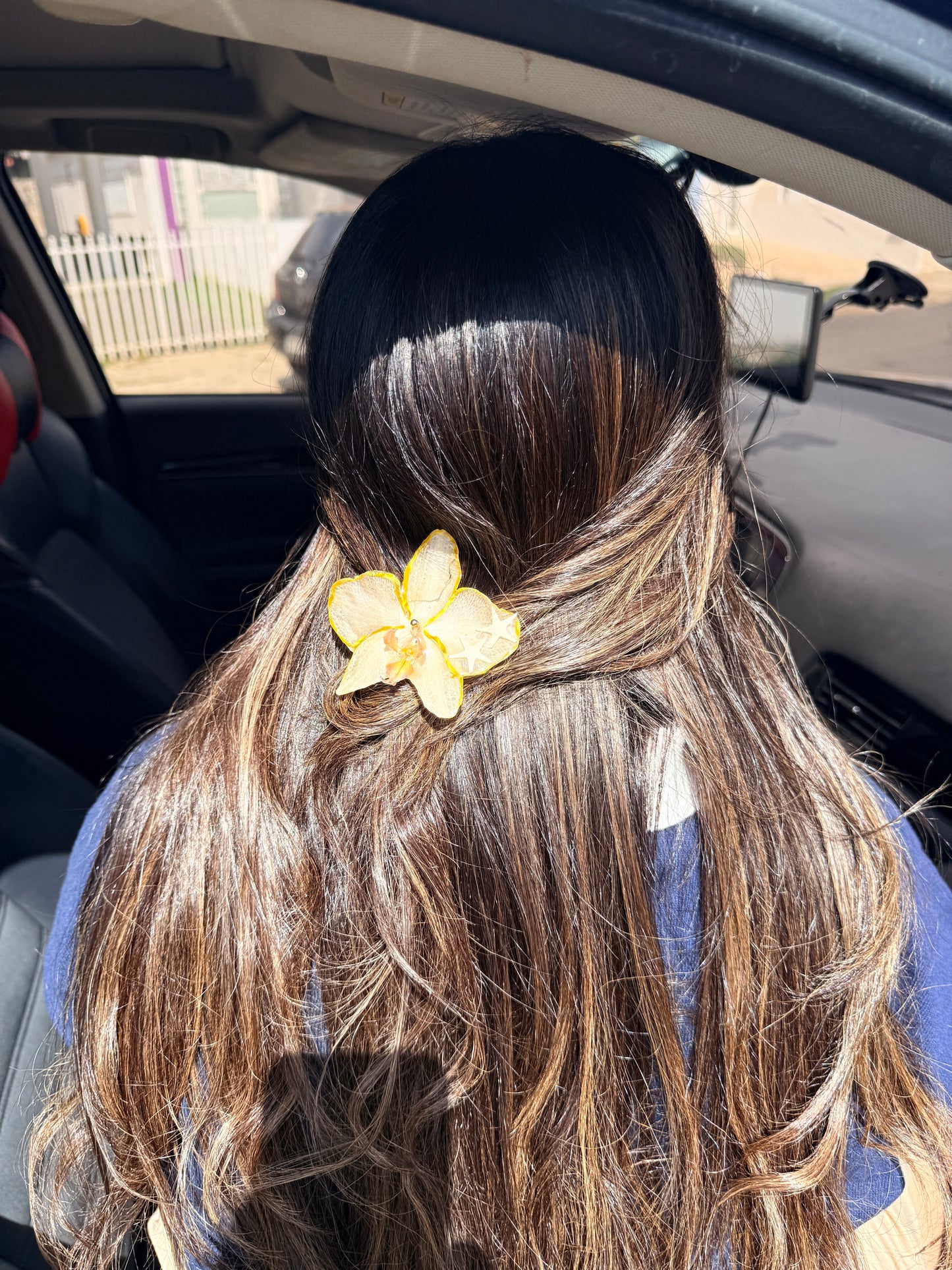 Phalaenopsis hair clip