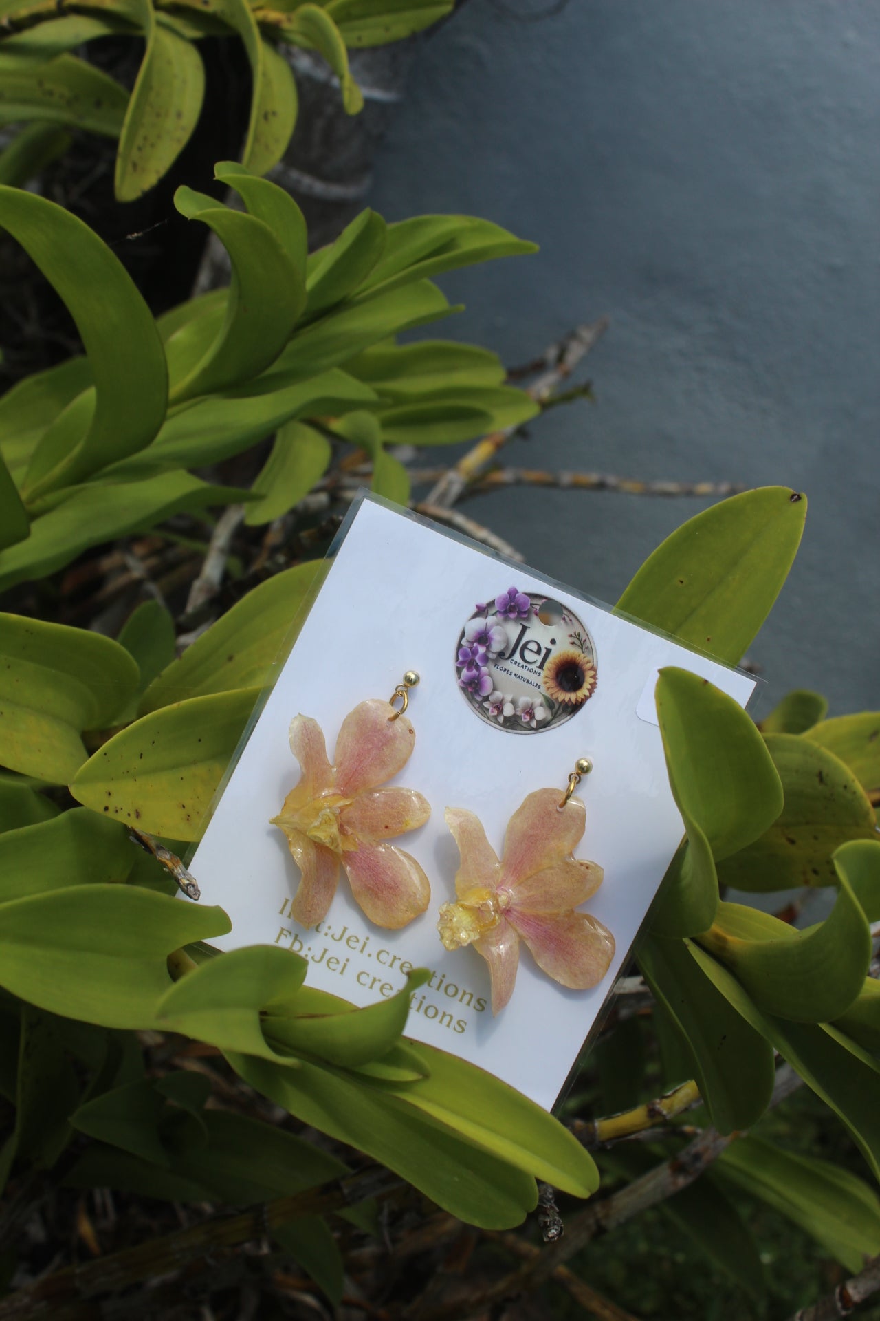 Mini Dendrobium Orchid earings