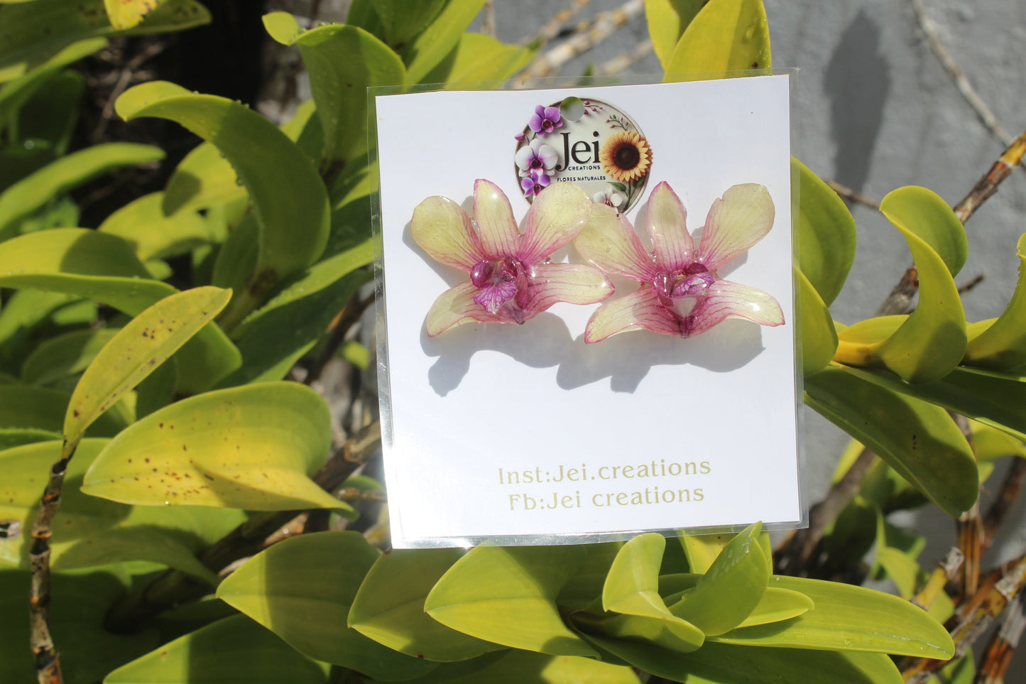 Dendrobium stud earings