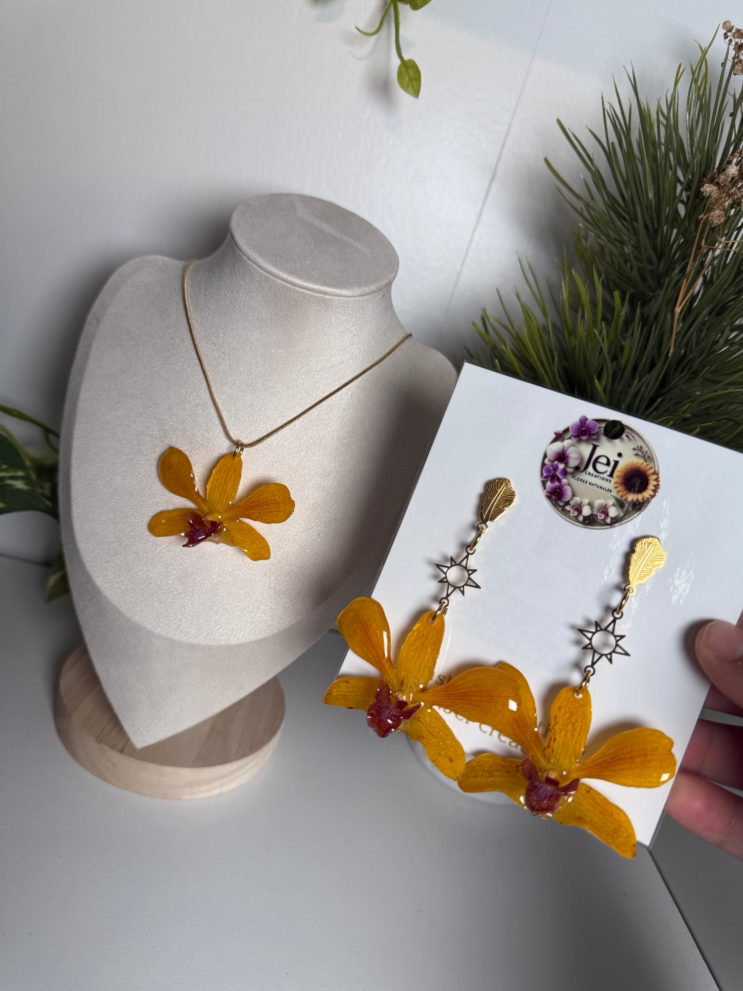 Fairy Dendrobium set