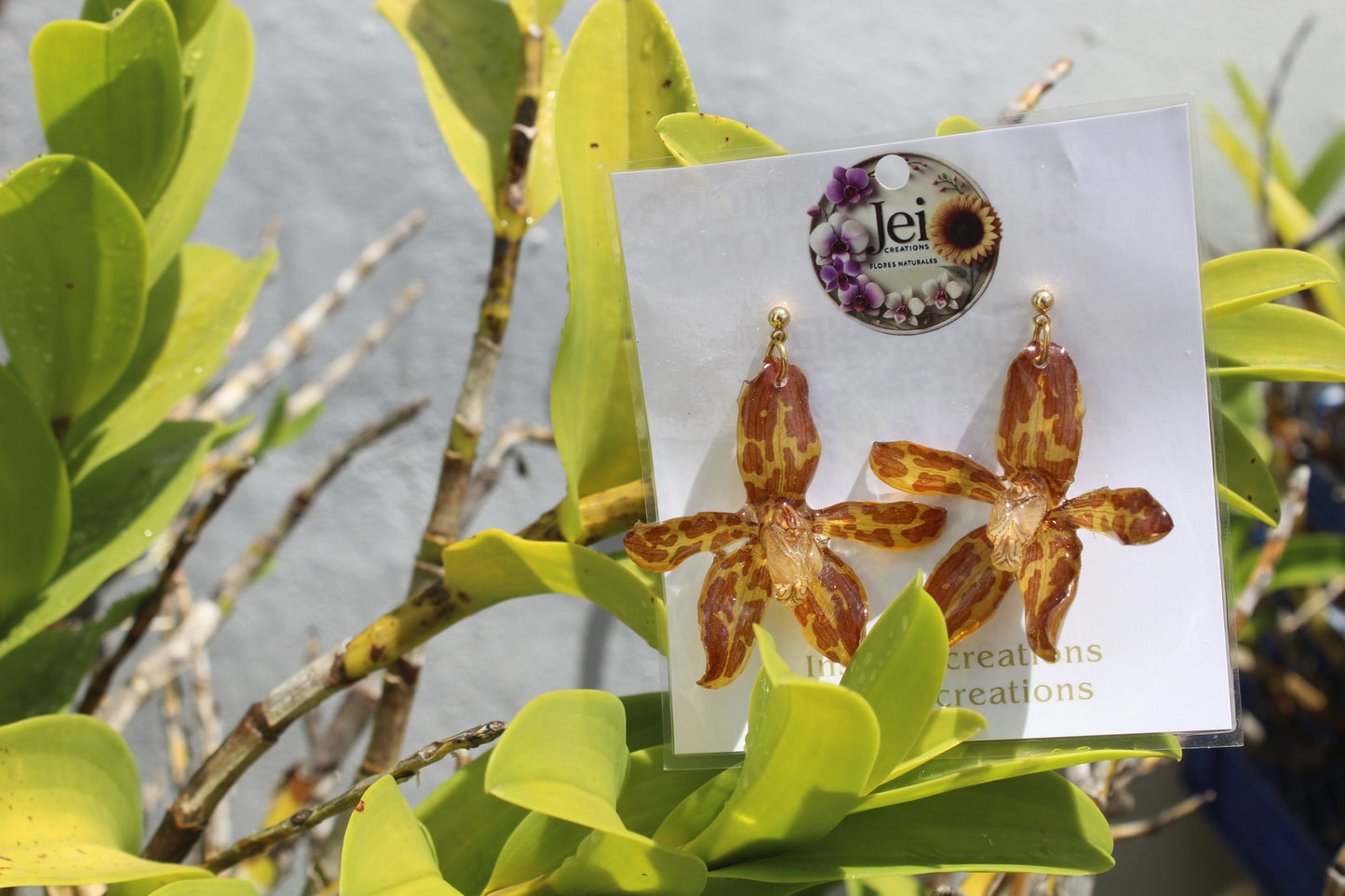 Grammatophyllum Orchid earings