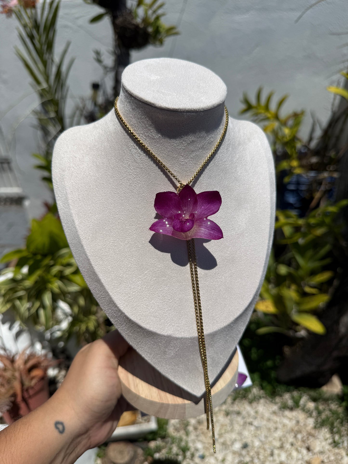 Baby Orchid set