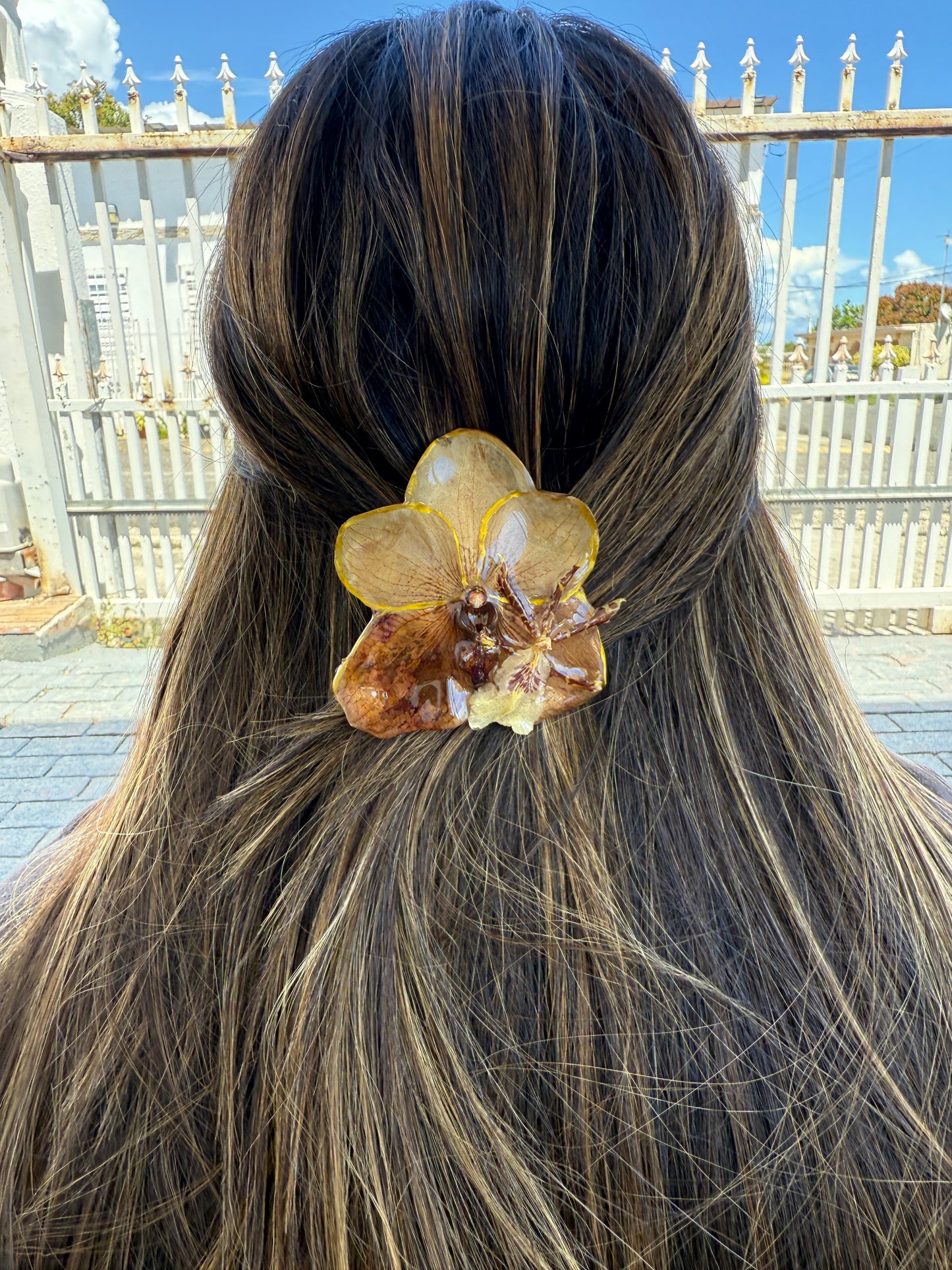 Brown Orchid Hair clip