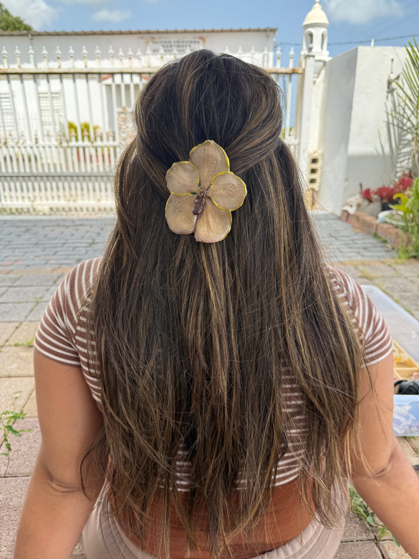 Big Orchid Vanda Hair clip