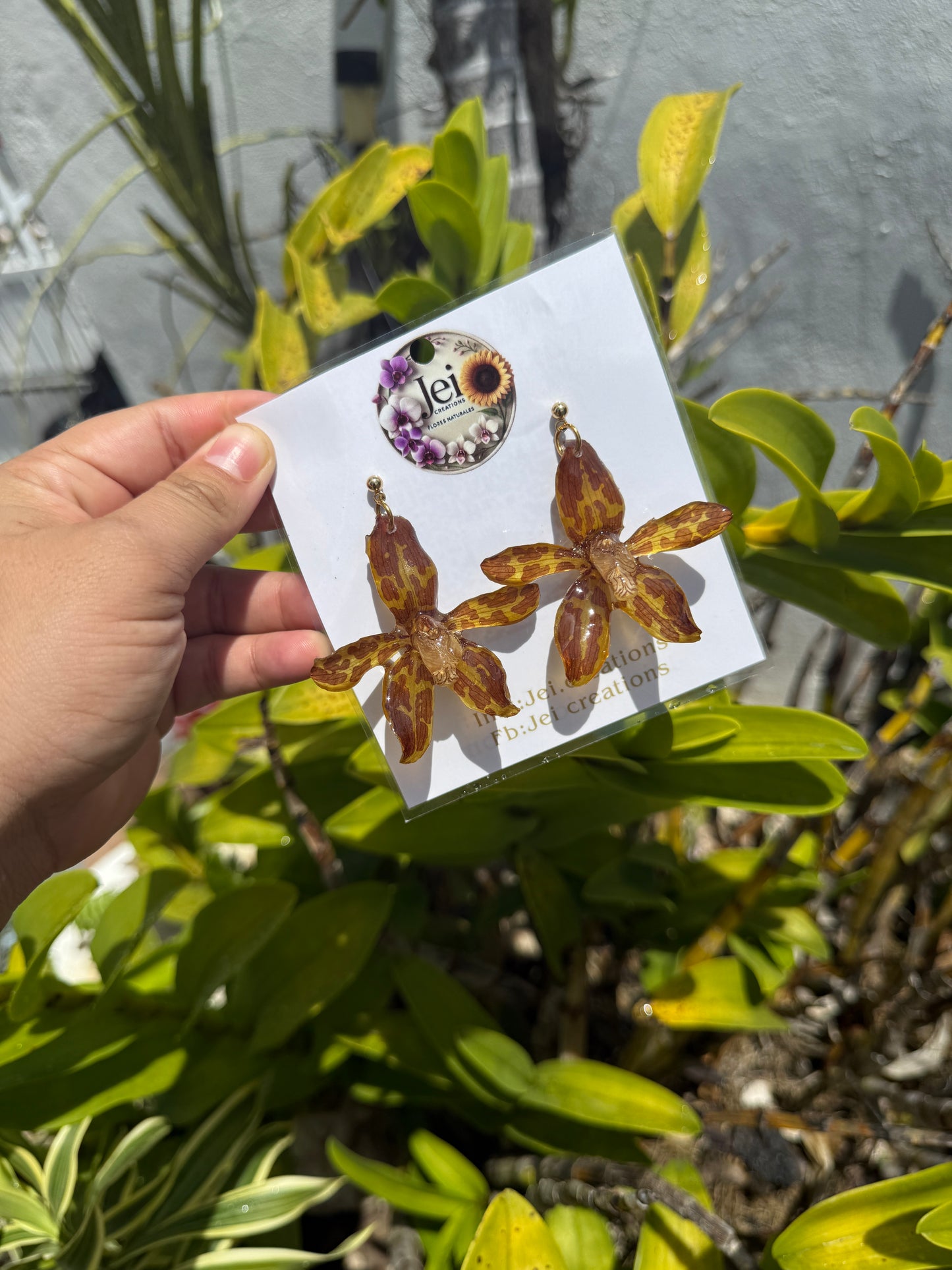 Grammatophyllum Orchid earings