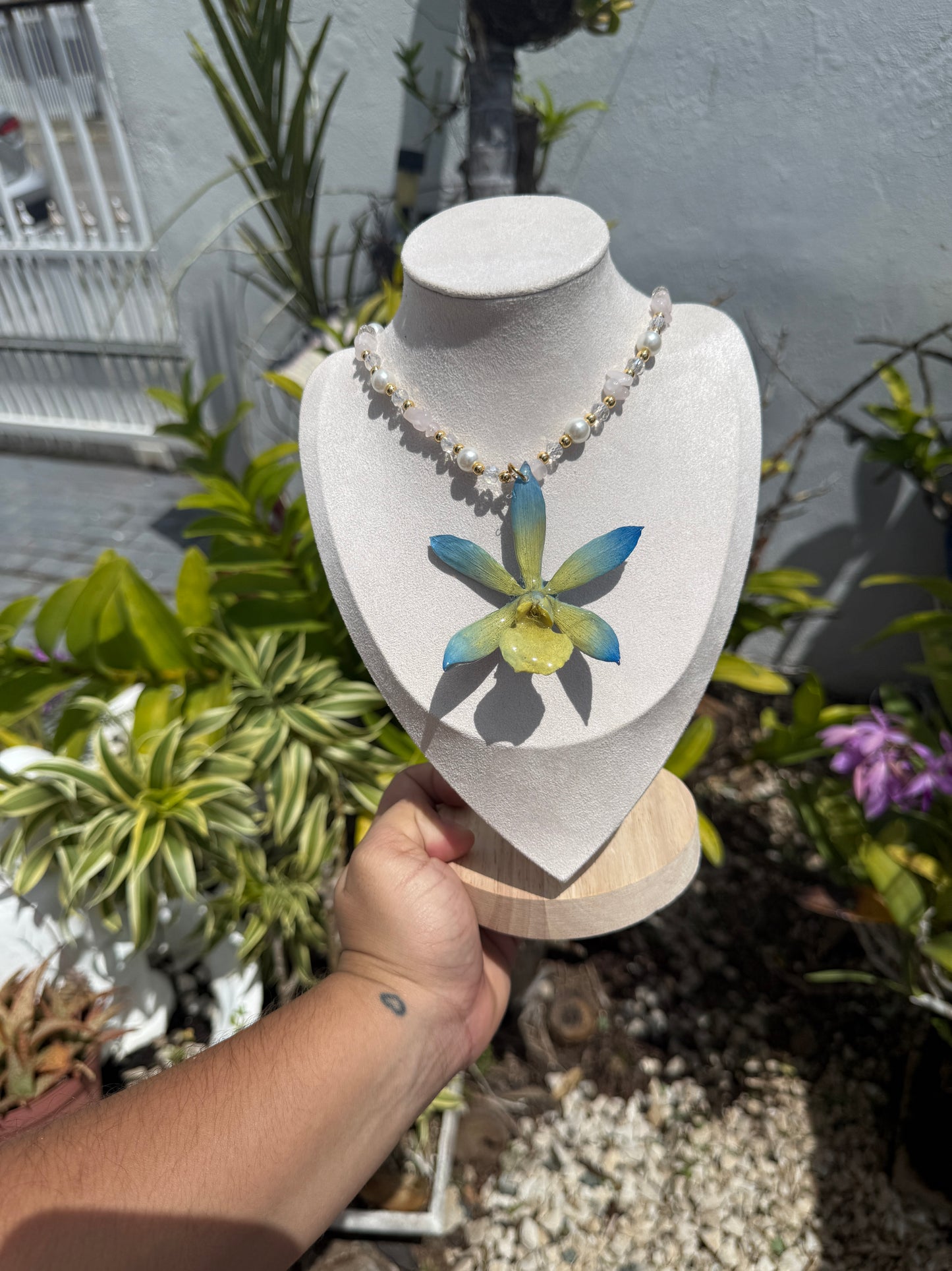 Cattleya Orchid Fancy necklace