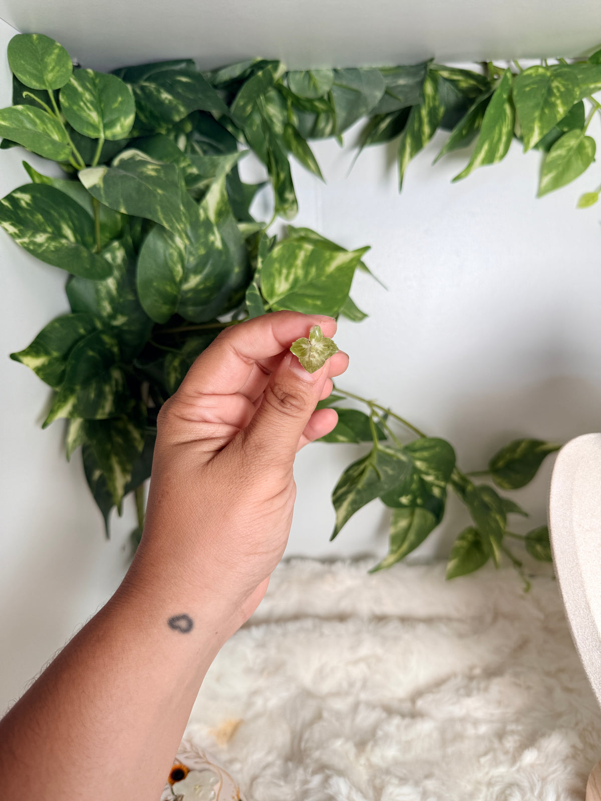 Garden Trio Hydrangea Studs