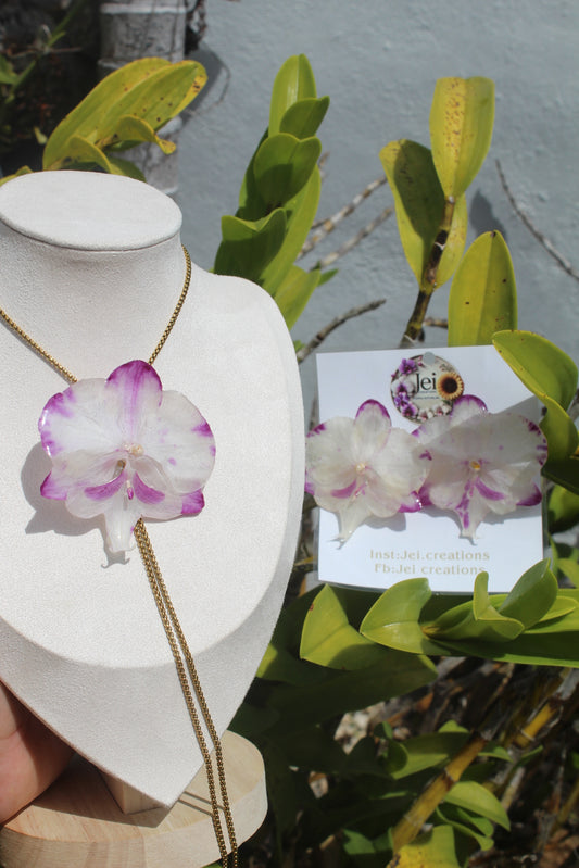 Phalaenopsis Orchid set (4pieces)