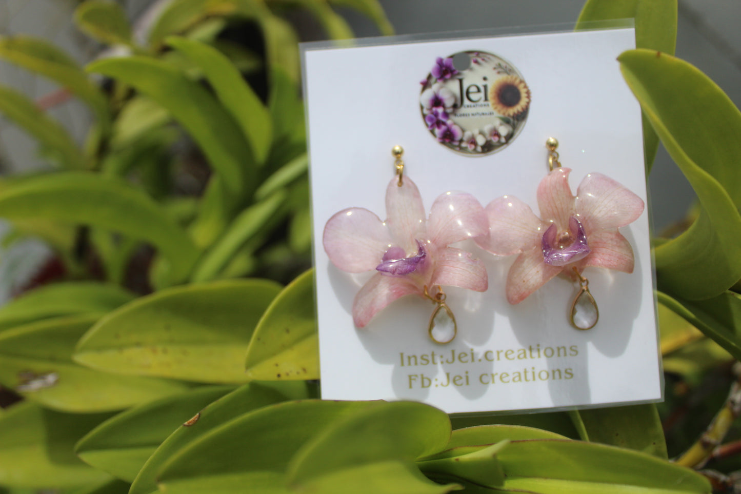 Purple baby Orchid earings