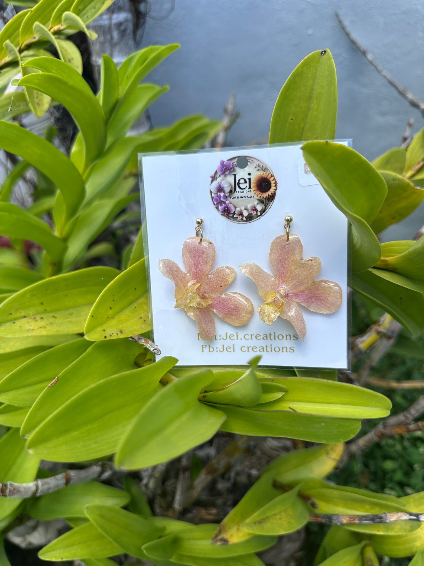 Mini Dendrobium Orchid earings