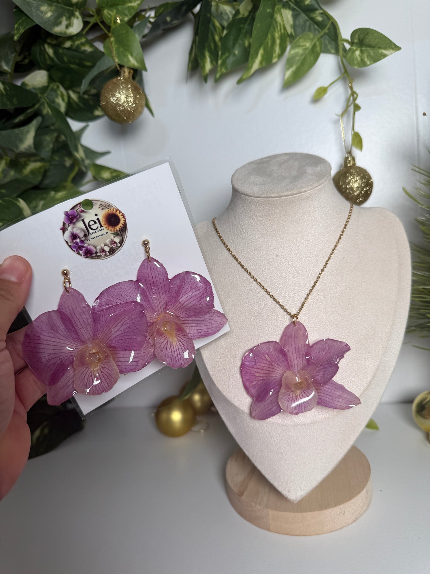 Big Dendrobium Orchid set