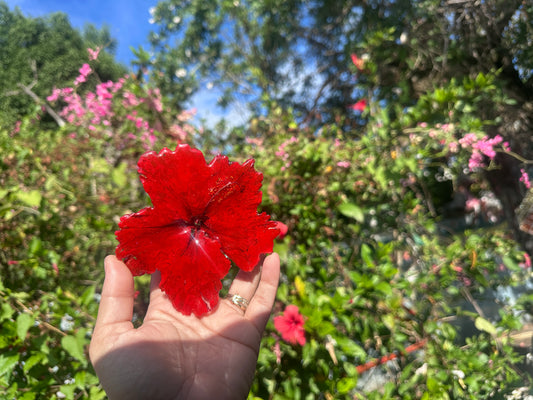 Amapola hair clip(Hibiscus) 🌺(pre-venta disponible 19-enero)