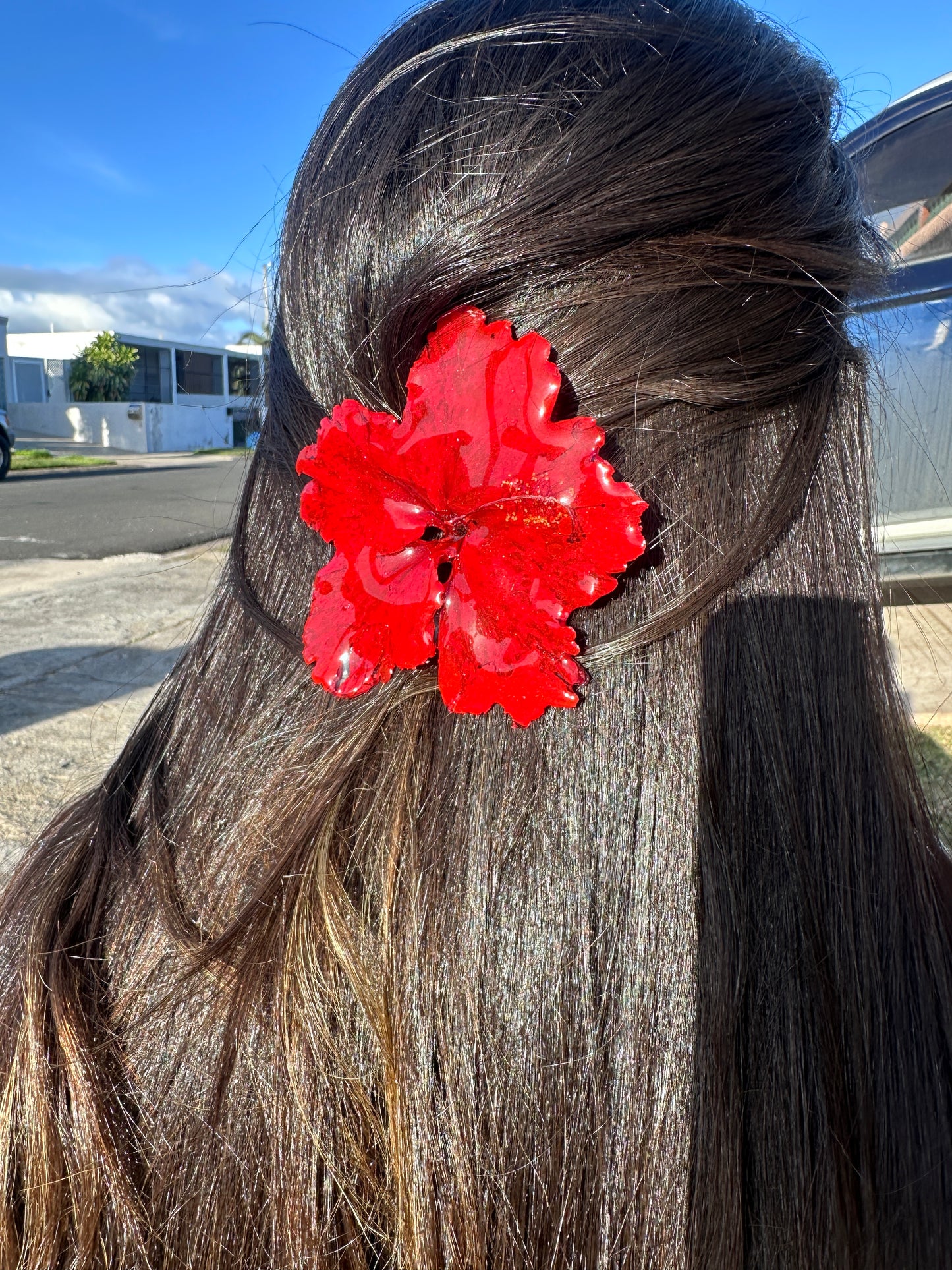 Amapola hair clip(Hibiscus) 🌺