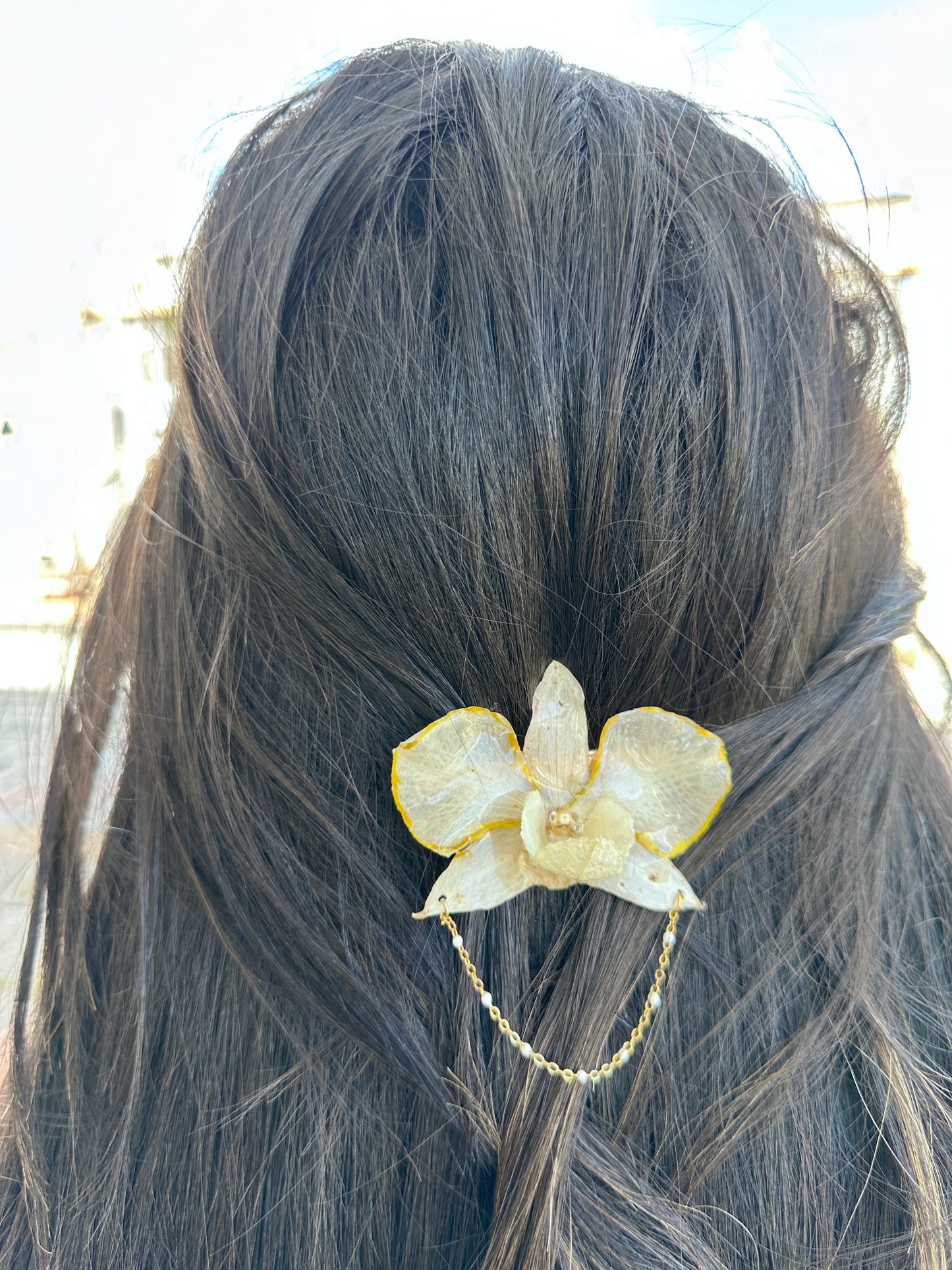 Dendrobium line Hair clip