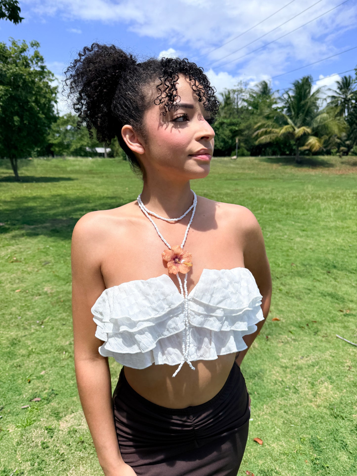 Exotic Bloom Amapola