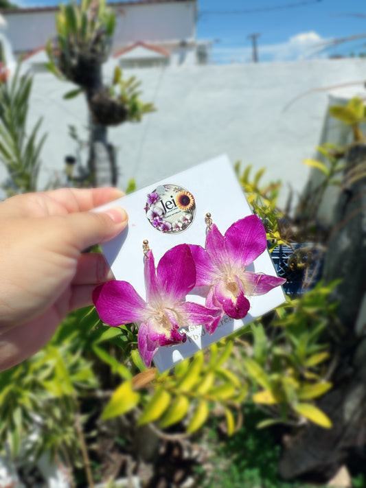 Fancy Dendrobium earings