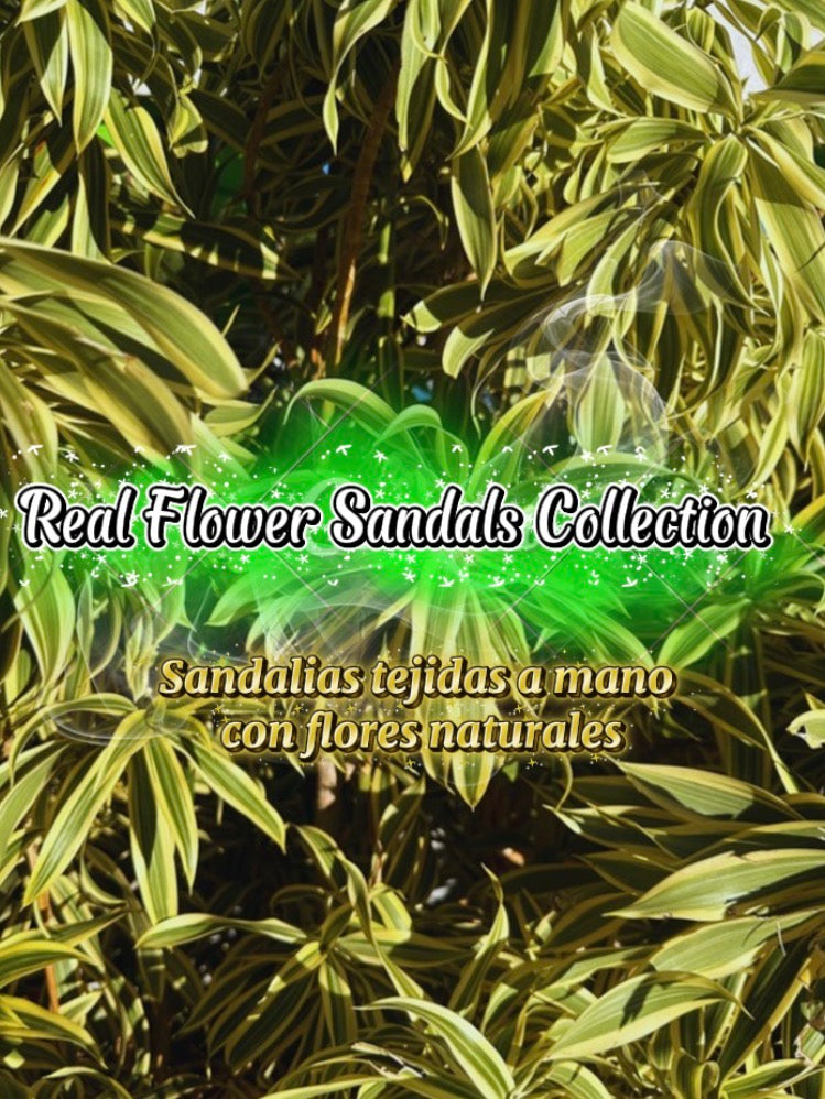 Sandalias