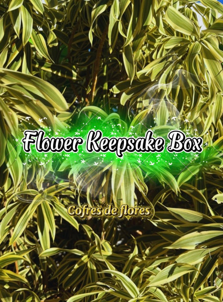 Cofres (cajas de madera con flores)