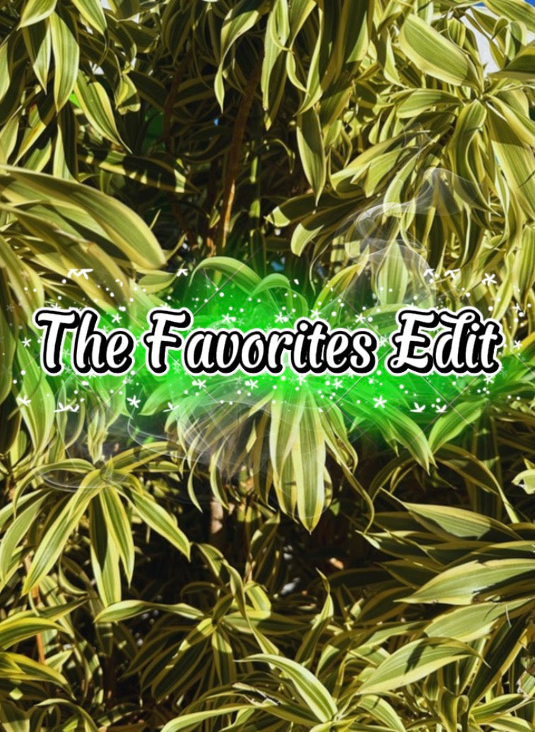 Love That Never Fades