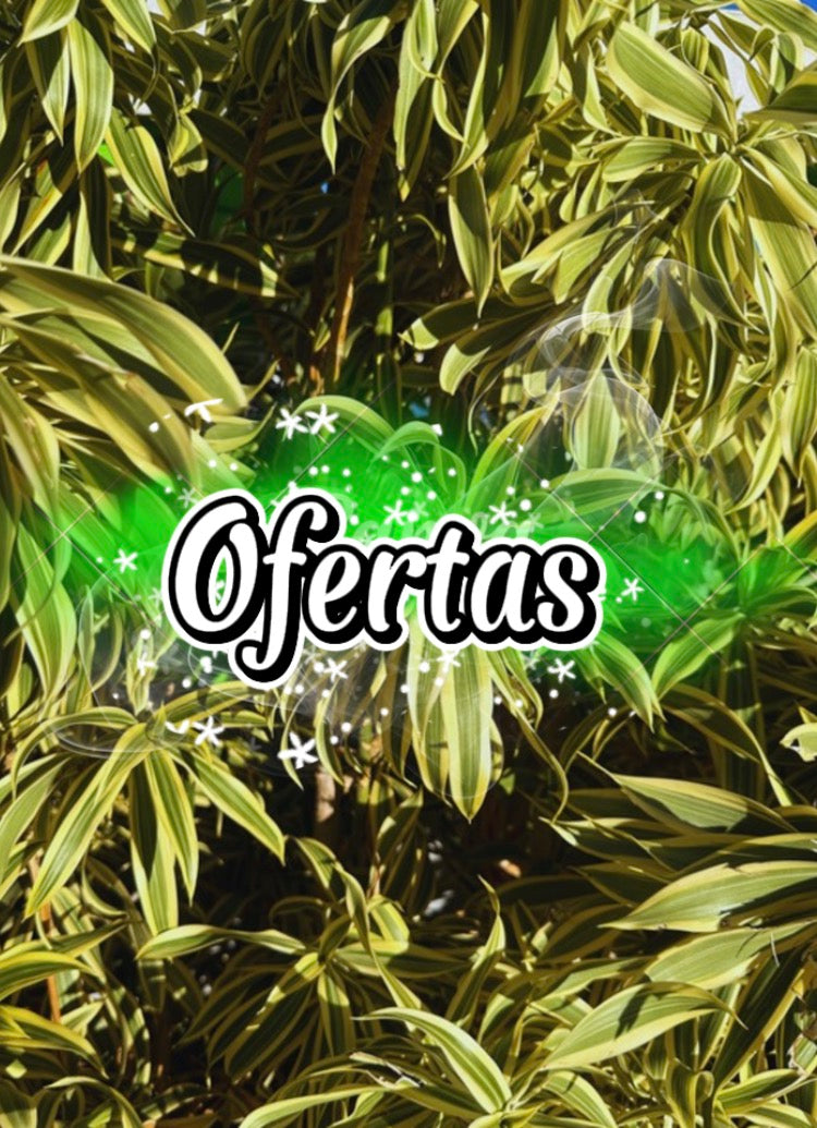 Ofertas