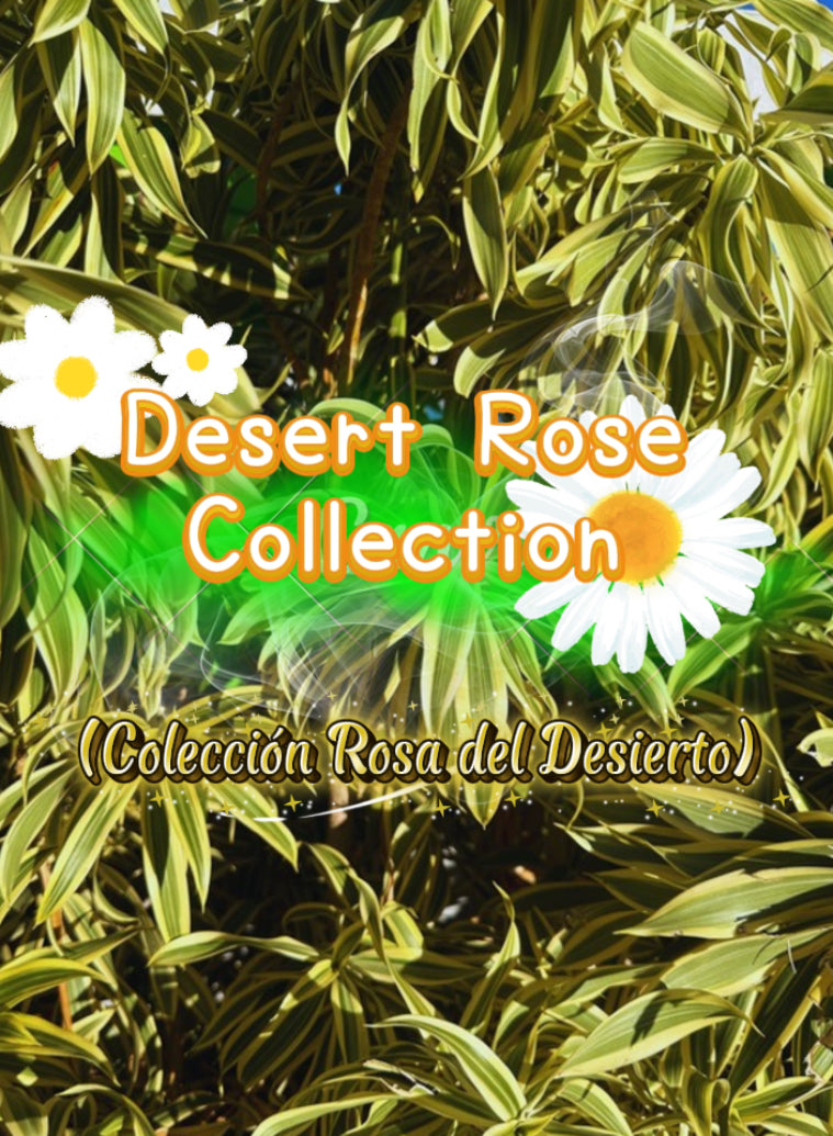 Desert rose collection