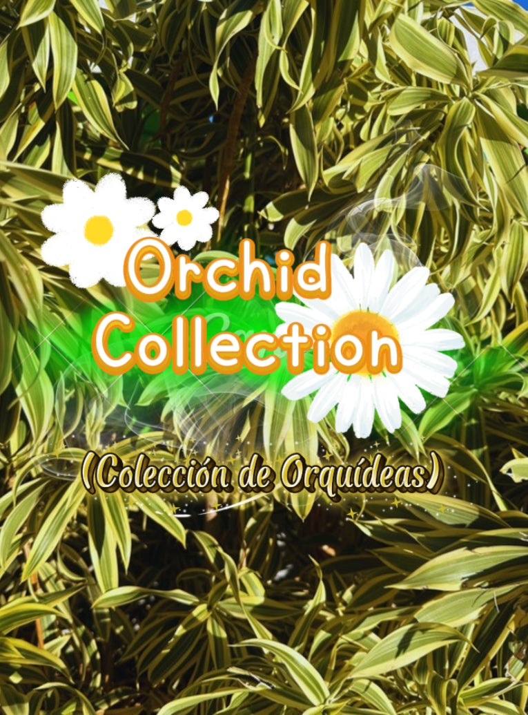 Colección de orquídeas