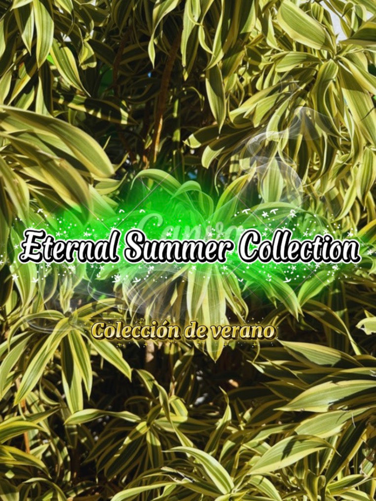 Eternal Summer Collection