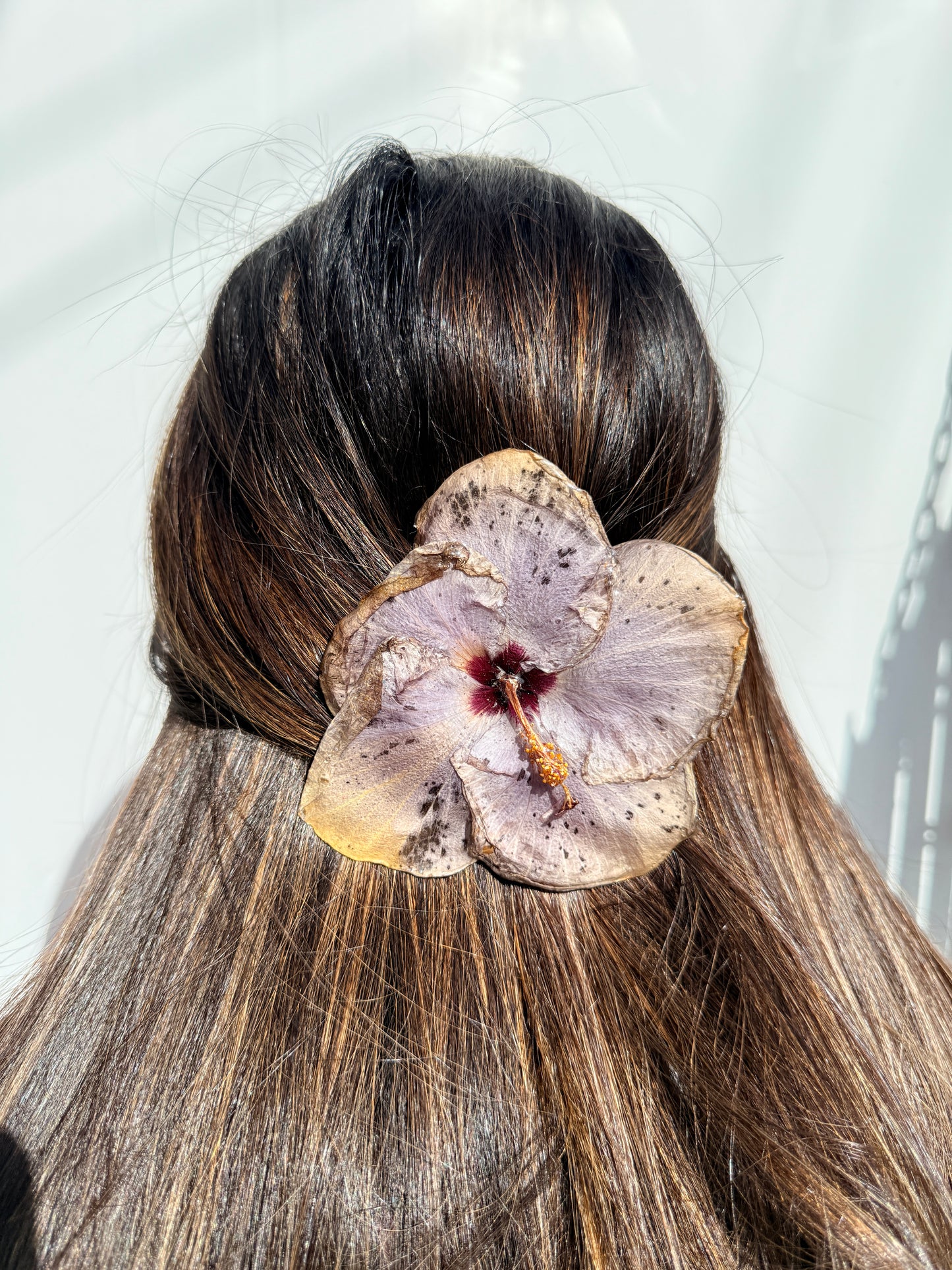 Exotic Hair Clip