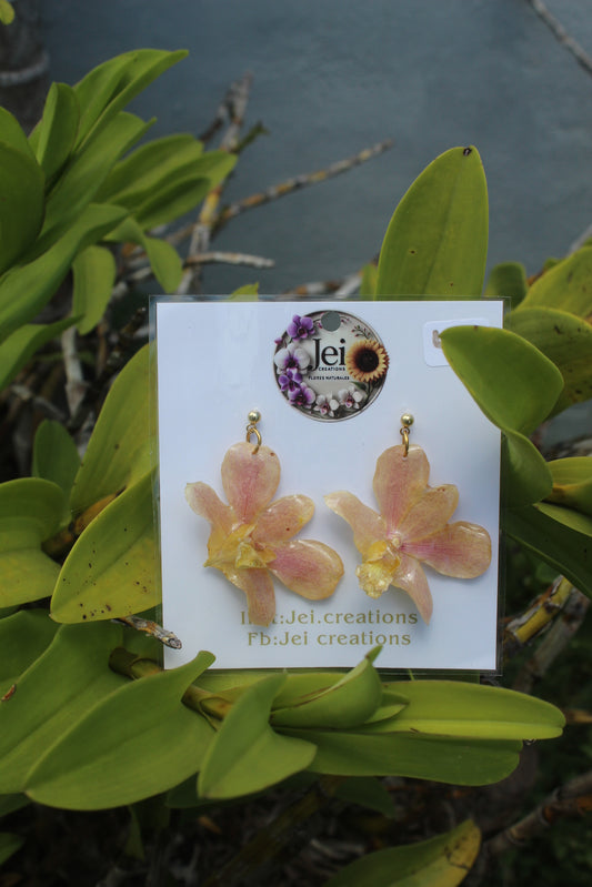 Mini Dendrobium Orchid earings