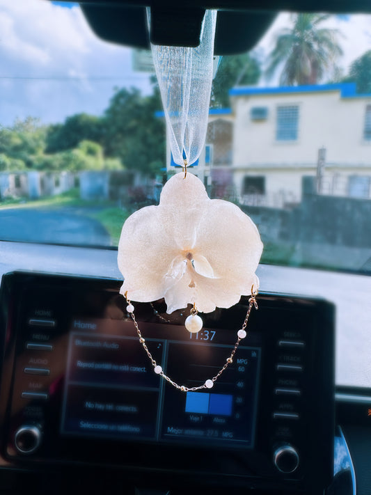 White Phalaenopsis Orchid Car Hanging