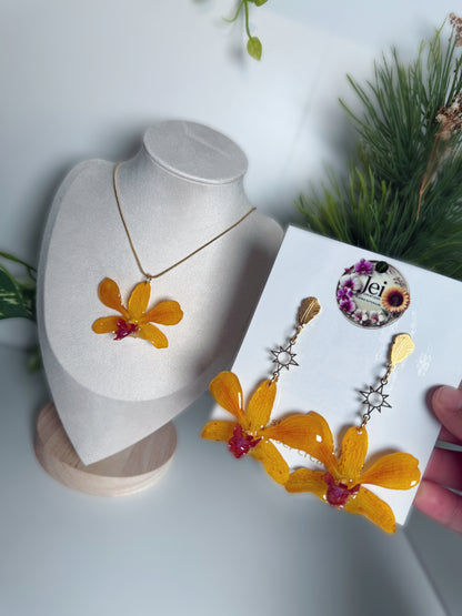 Fairy Dendrobium set