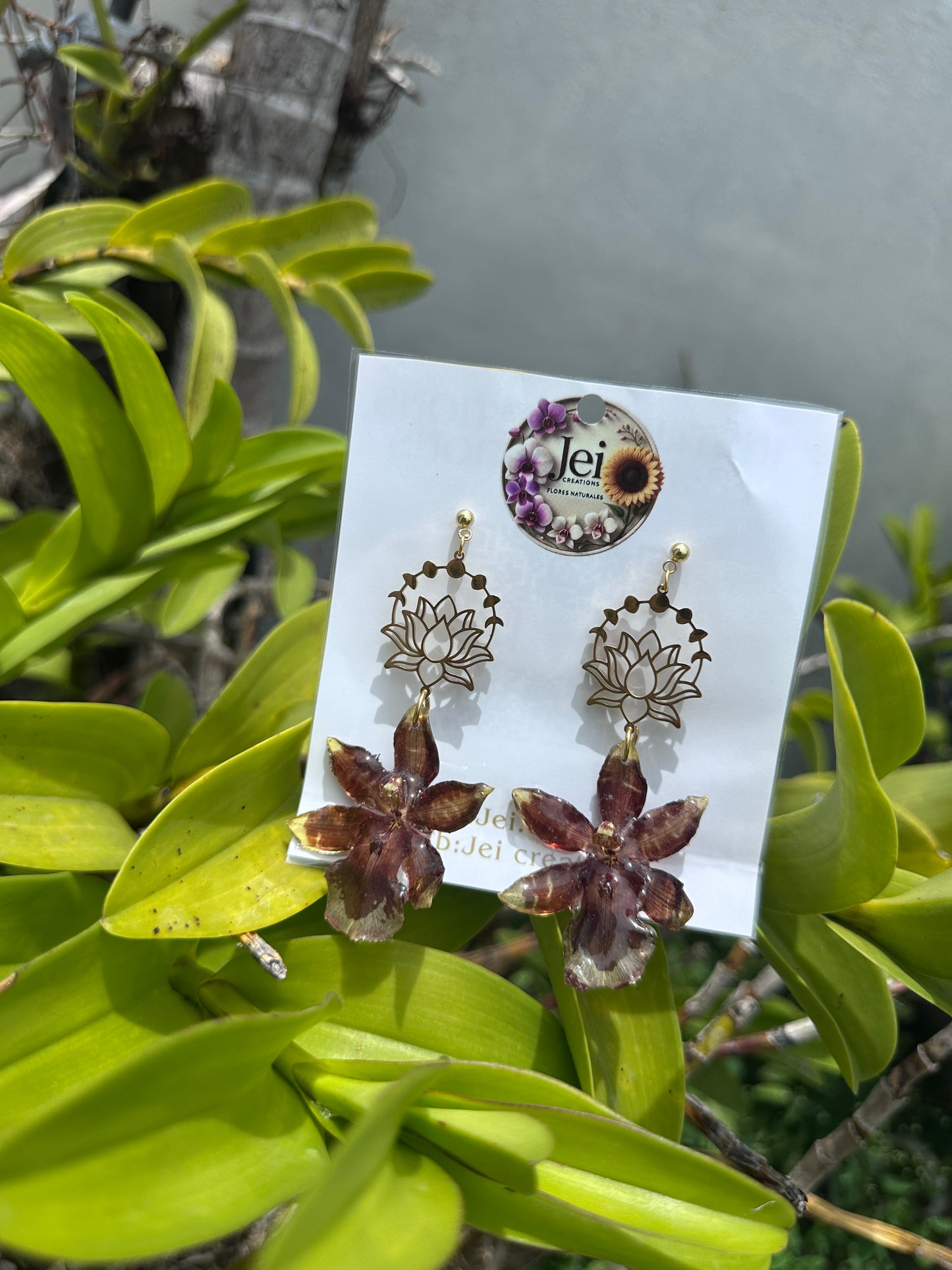 Brown Orchid Oncidium earings