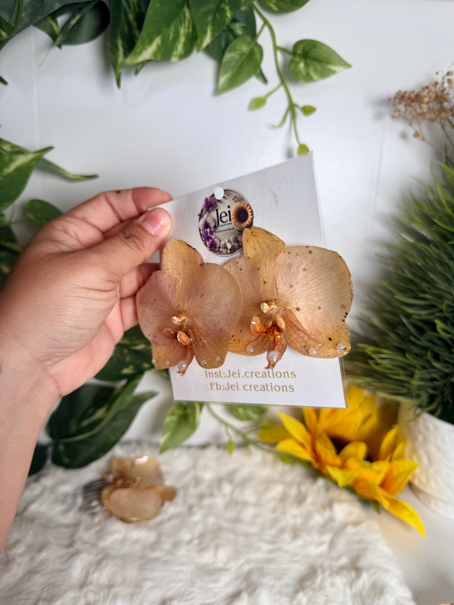 Golden Blush Orchid