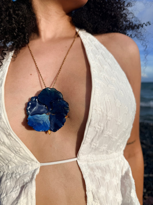 Flamboyán azul