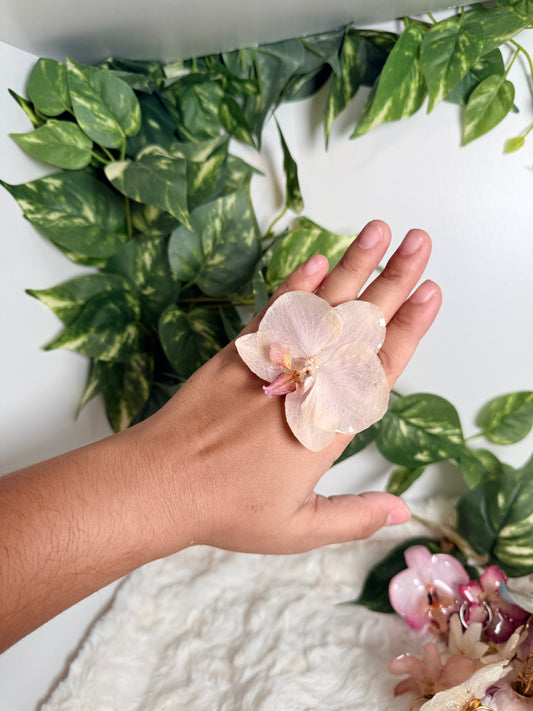Ivory Phalaenopsis Ring