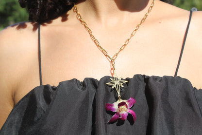 Orchid Holiday Bundle🎄