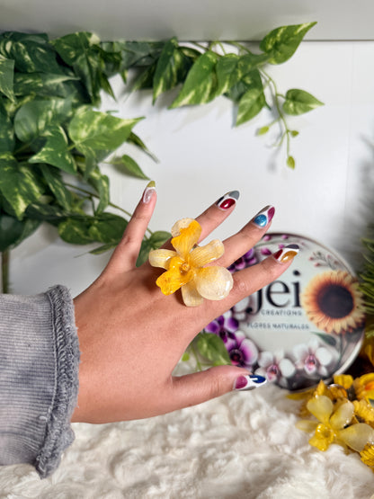 Golden Whisper Dendrobium Adjustable Ring