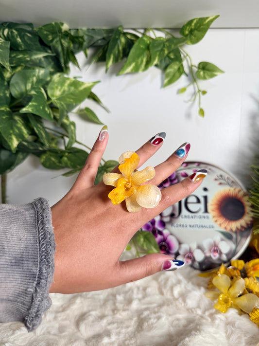 Golden Whisper Dendrobium Adjustable Ring