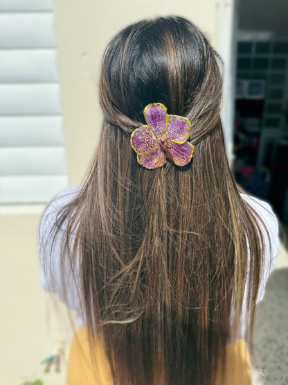 Vanda Orchid Hair clip
