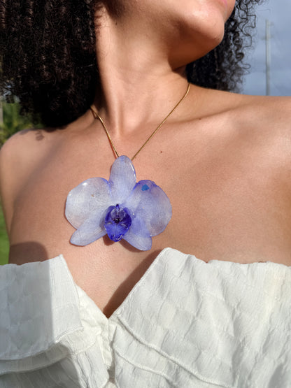 Midnight Blue Orchid for Mom(bundle)