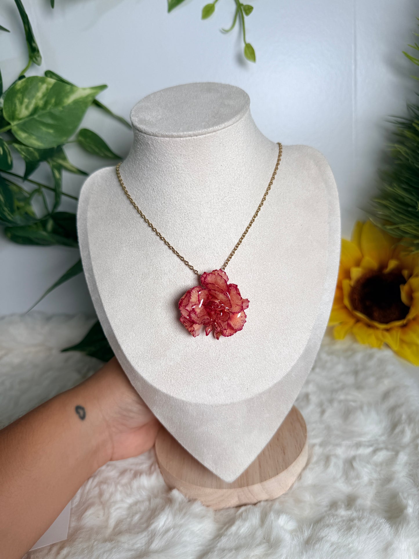 Crimson Carnation Set(clavel mini )