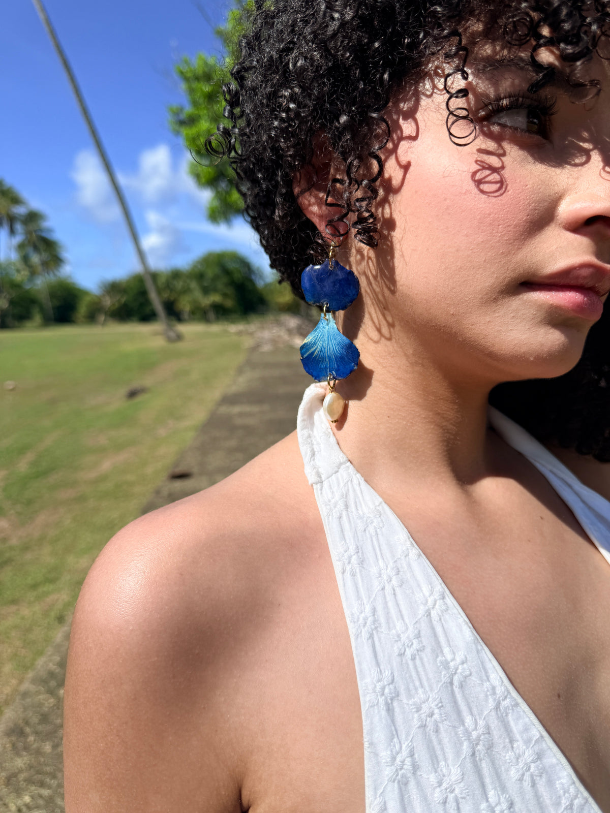 Flamboyán azul