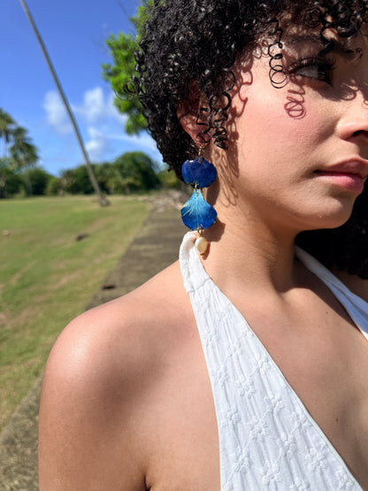 Flamboyán azul