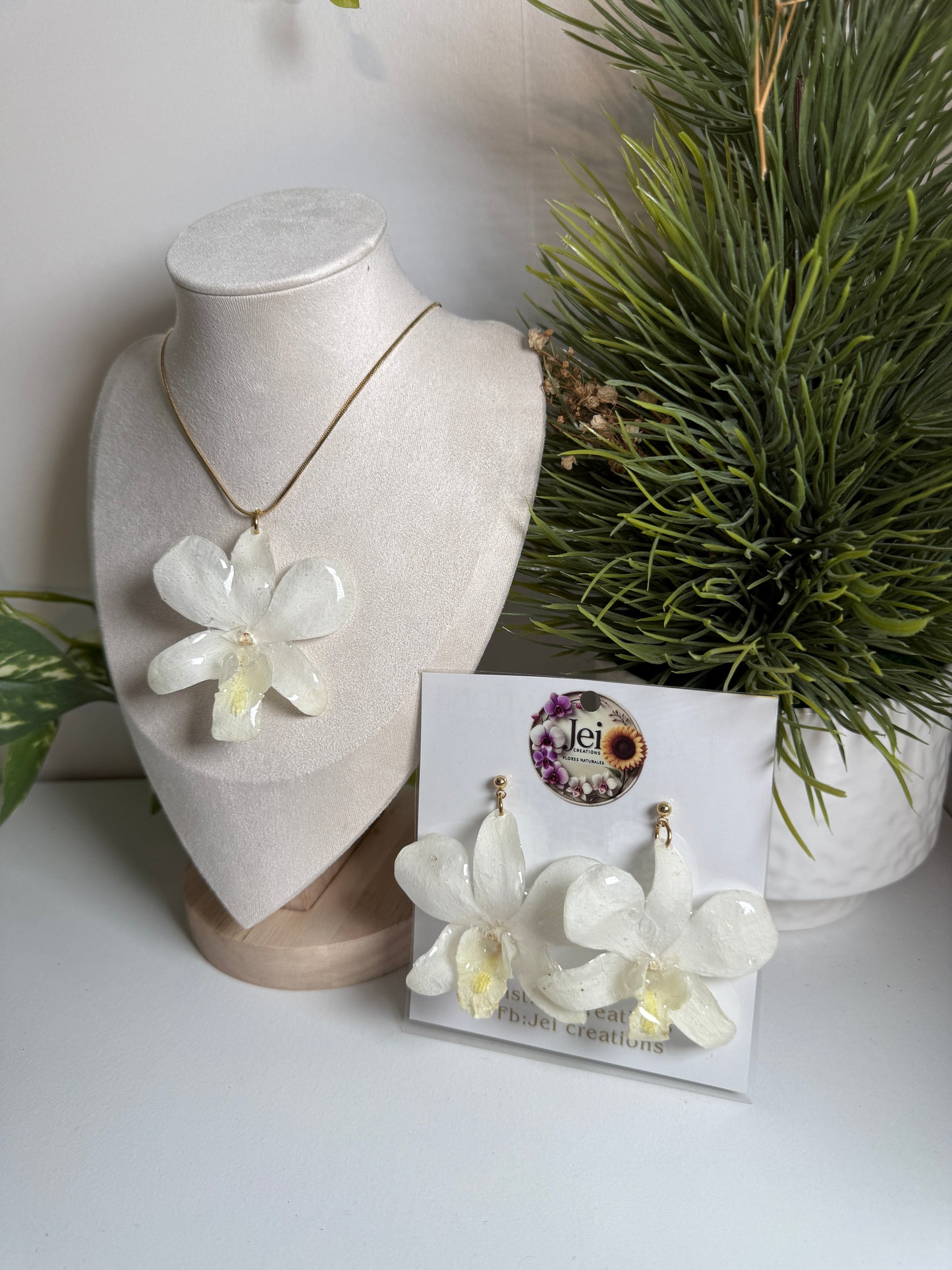 White Dendrobium Orchid set