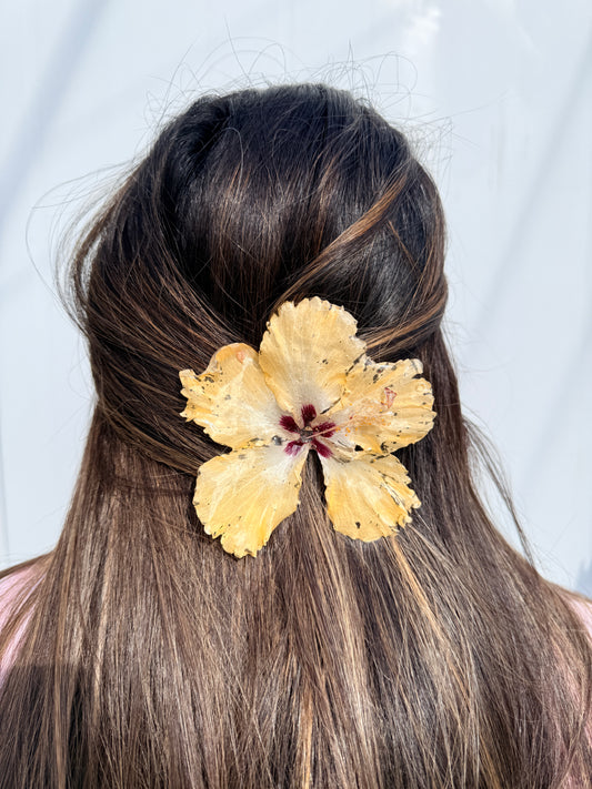 Exotic Hair Clip