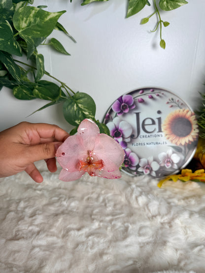 Blush Petal Phalaenopsis Cuff Bracelet