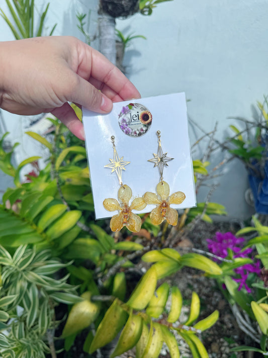 Yellow Orchid star earings