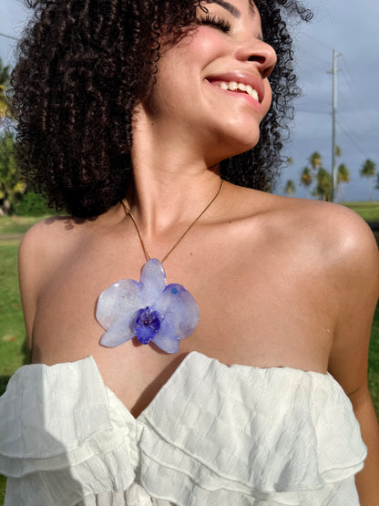 Midnight Blue Orchid for Mom(bundle)