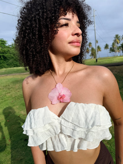 Mother’s Love Orchid Bundle