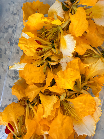 Yellow Flamboyant necklace